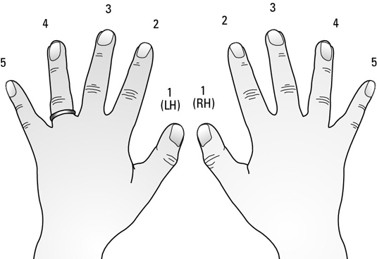 hands with finger numbers for playing piano