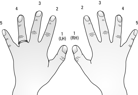 Left hand finger numbers shop piano